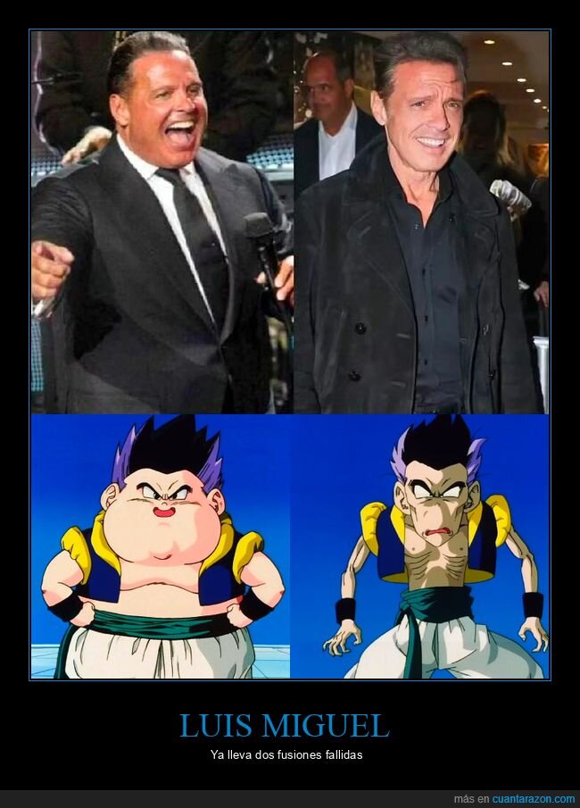 dragon ball,flaco,fusión,gordo,luis miguel