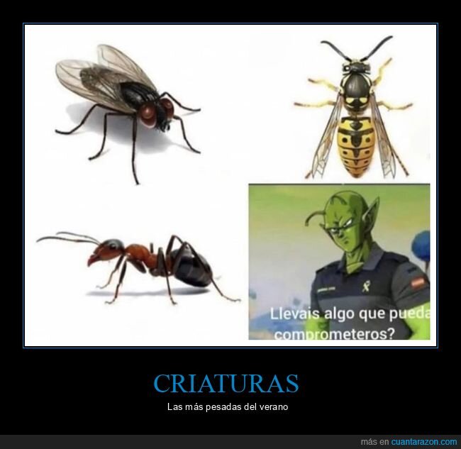 bichos,criaturas,dragon ball,guardia civil,pesadas,picolo,verano