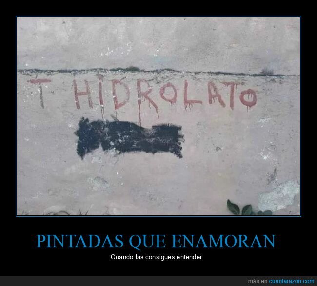 graffitis,hidrolato,idolatro,ortografía