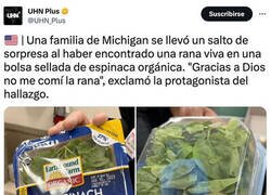 Enlace a Espinacas con sorpresa