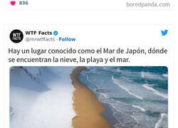 Enlace a Datos aleatorios que despertarán tu curiosidad