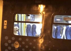 Enlace a Usando todos los medios a su alcance