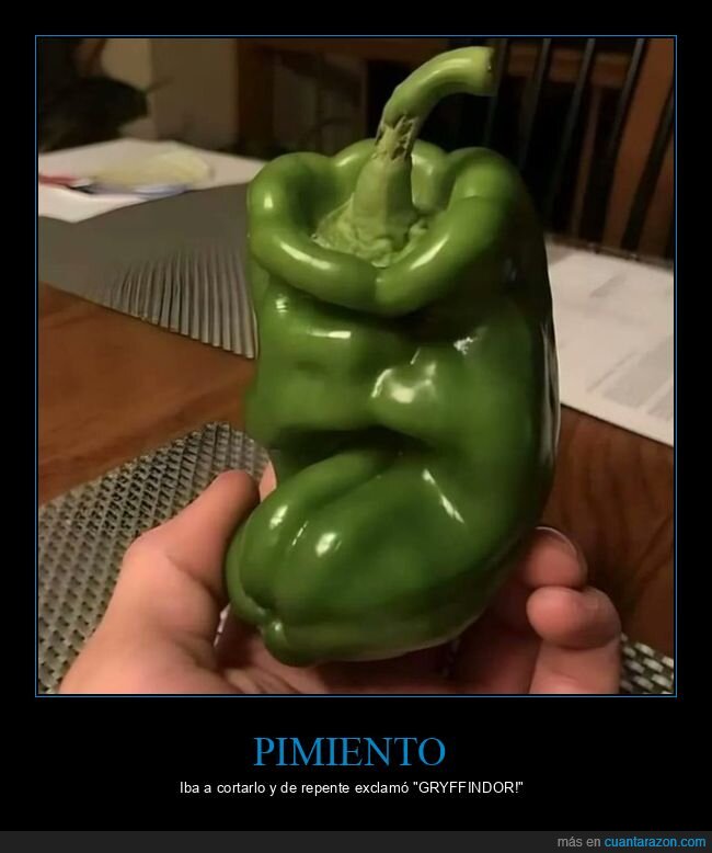 pimiento,sombrero,harry potter,parecidor