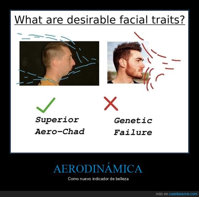 aerodinámica,cara,belleza