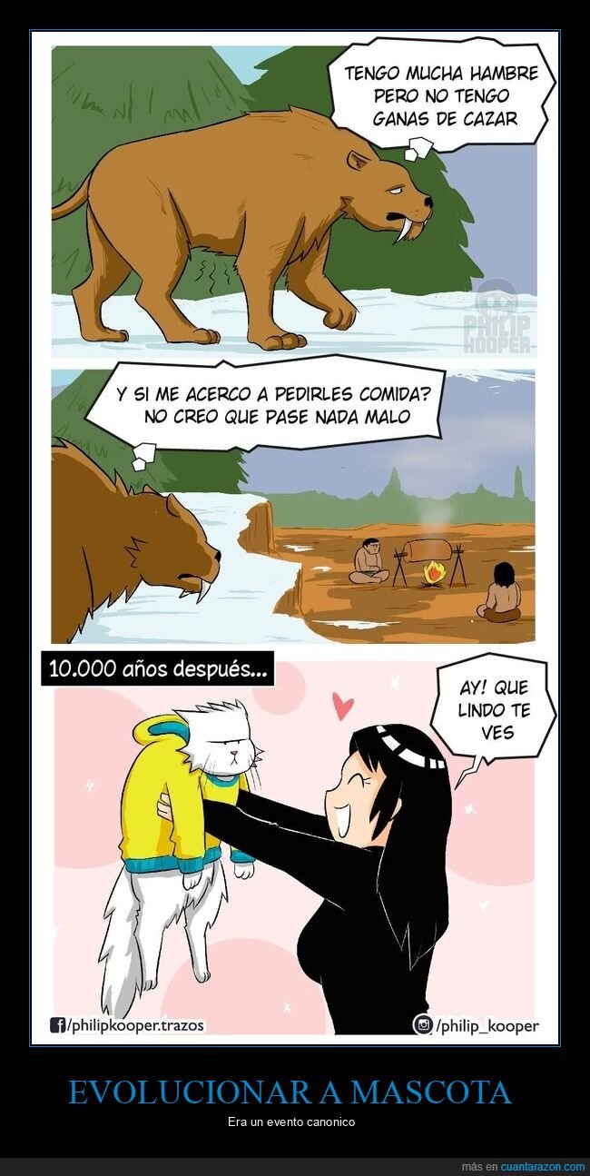 dientes de sable,evolución,gato