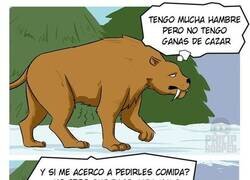 Enlace a La cosa no salió como esperaba...