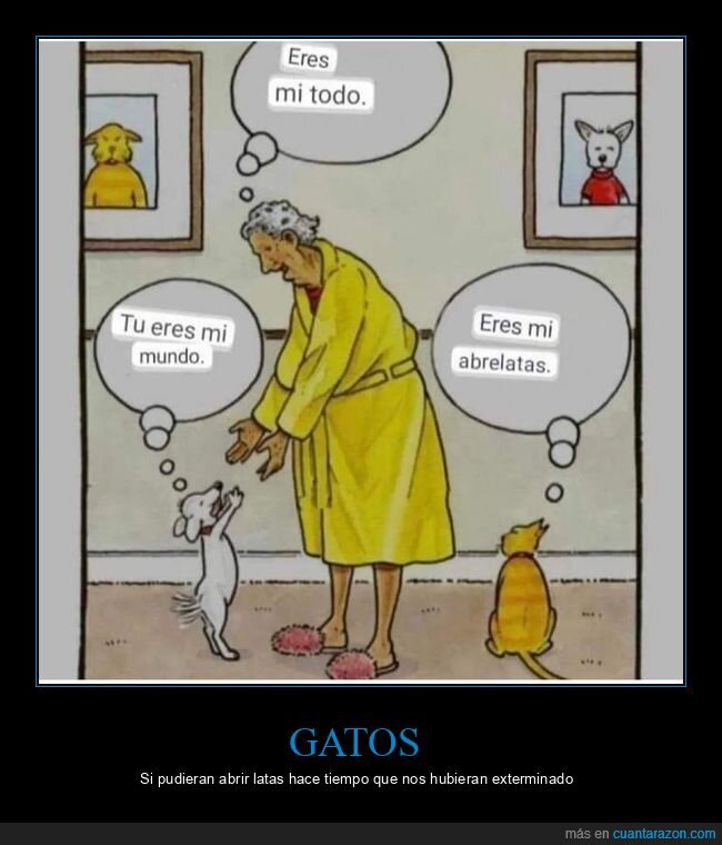 perro,gato,pensar
