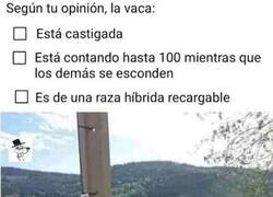 Enlace a Escoge la opción que creas más acertada