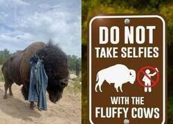 Enlace a Ya lo advertía el cartel...