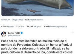Enlace a El Perucetus Colossus ha arrebatado el título de animal más grande que jamás ha existido a la ballena azul