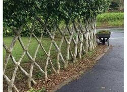 Enlace a Diseñadores que transformaron objetos comunes en auténticas obras de arte