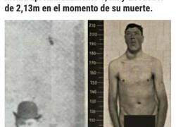 Enlace a Fotografías fascinantes de cosas poco comunes