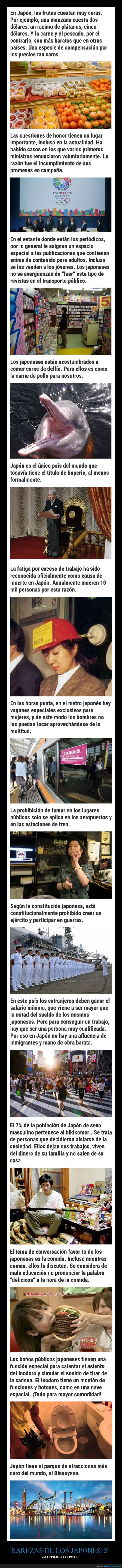 japoneses,japón,rarezas