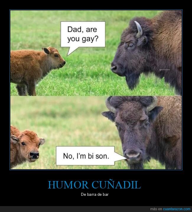 bisexual,bi,bison