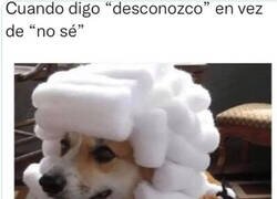 Enlace a Tema de cultura