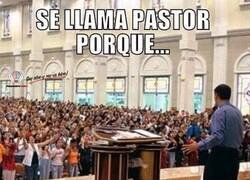 Enlace a EVANGÉLICOS