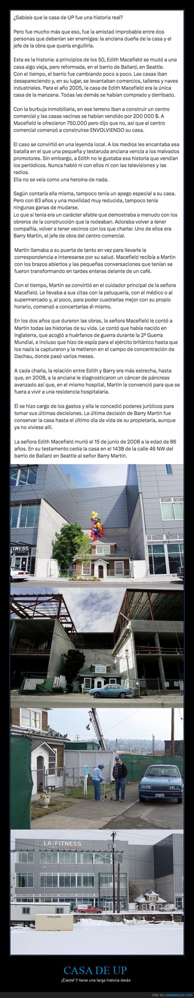 casa,up,historia,disney