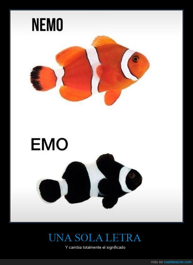 nemo,emo,color,pez