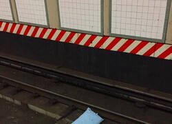 Enlace a Con las ratas como vecinitas