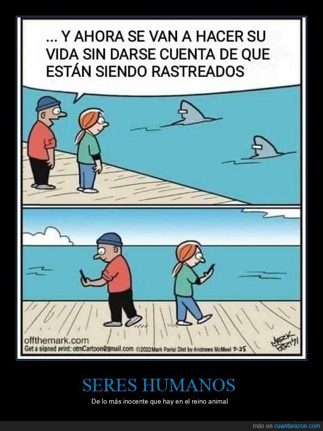 rastrear,movil,tiburon