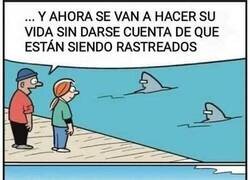 Enlace a A ver quién es el más rastreado