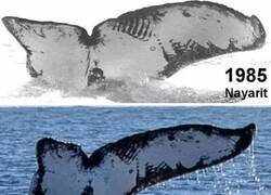 Enlace a 15 Interesantes fotos mostrando el antes y el ahora para ver los efectos del tiempo