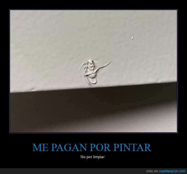 pared,pintar,insecto,cucaracha