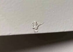 Enlace a Pobre bicho, lo estarían esperando en casa