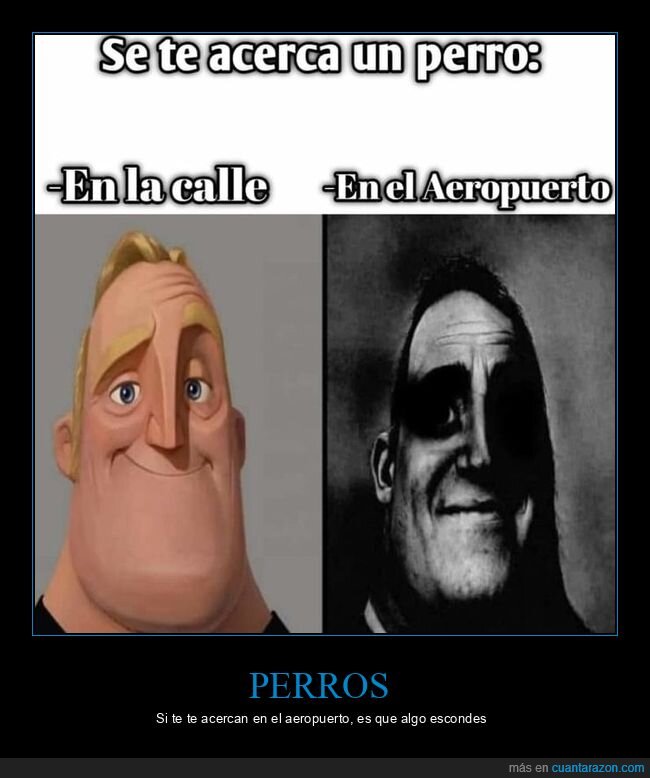 perro,oler,aeropuerto