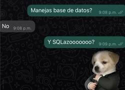 Enlace a Qué elegancia y riqueza de palabra