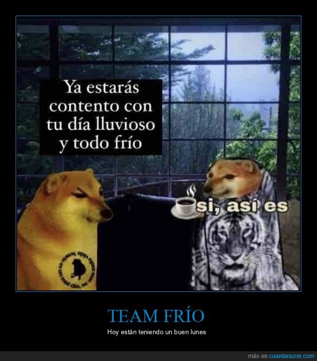 frio,doge,cheems