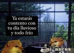 Enlace a El lunes ideal para los de team frío