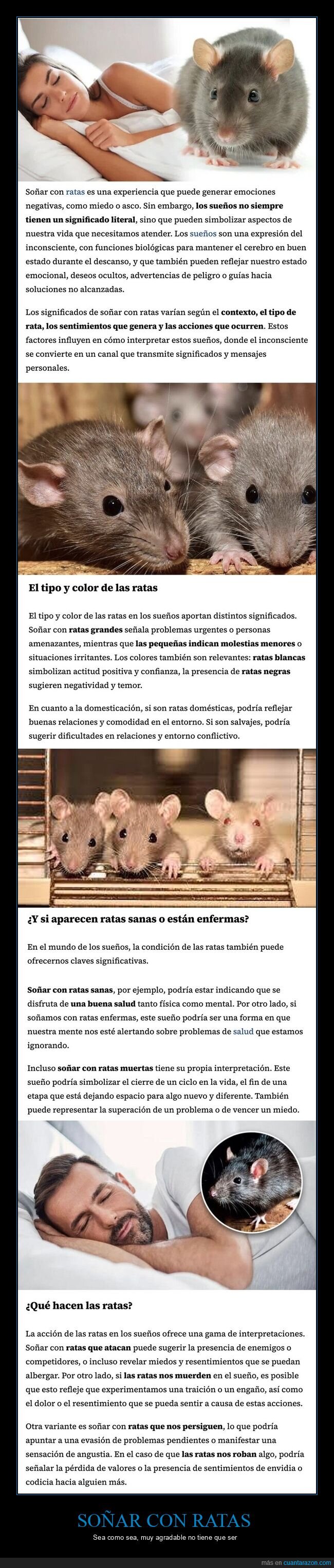 sueños,significado,ratas