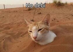 Enlace a Te avisan, no les haces caso, y luego te arrepientes