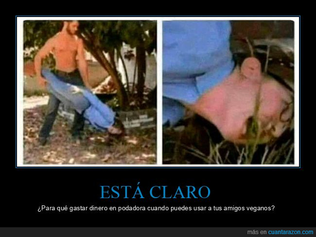 veganos,podar,cesped,hierba