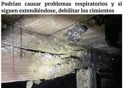 Enlace a 13 Pesadillas y milagros descubiertos durante inspecciones estructurales