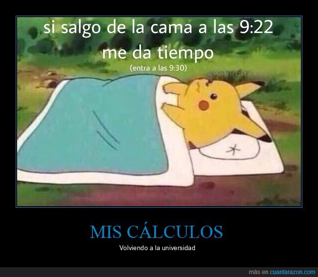 dormir,horas,despertar,cama,pikachu