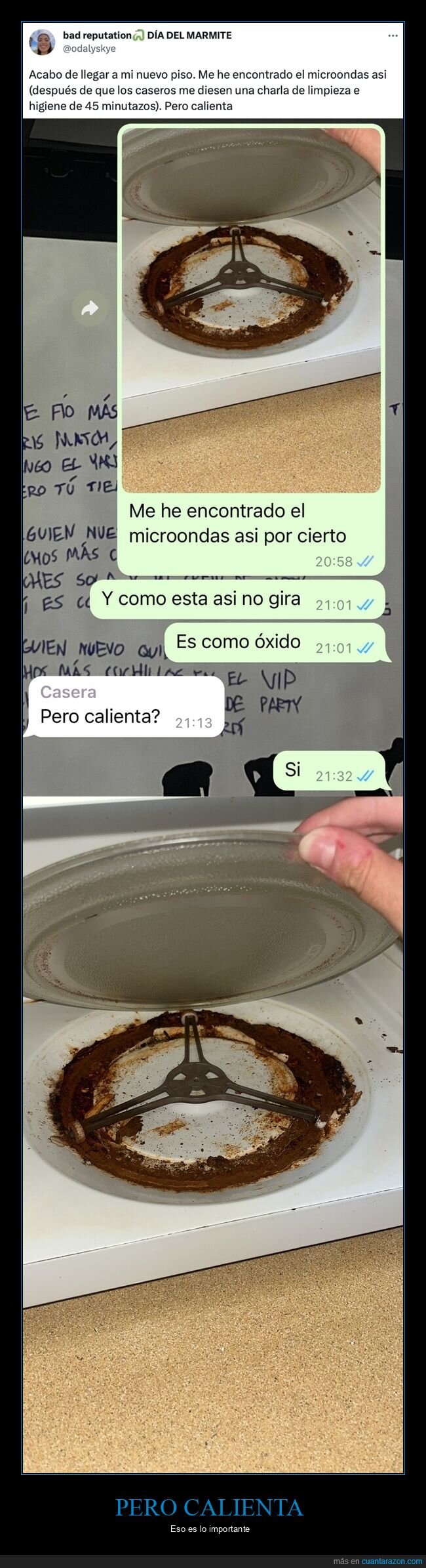 oxido,microondas,plato