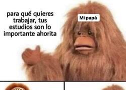 Enlace a Trabajar y callar