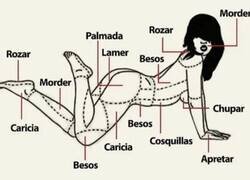 Enlace a Cuando vas a la carnicería