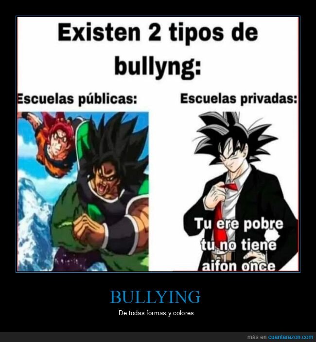 bullying,escuelas,publica,privada