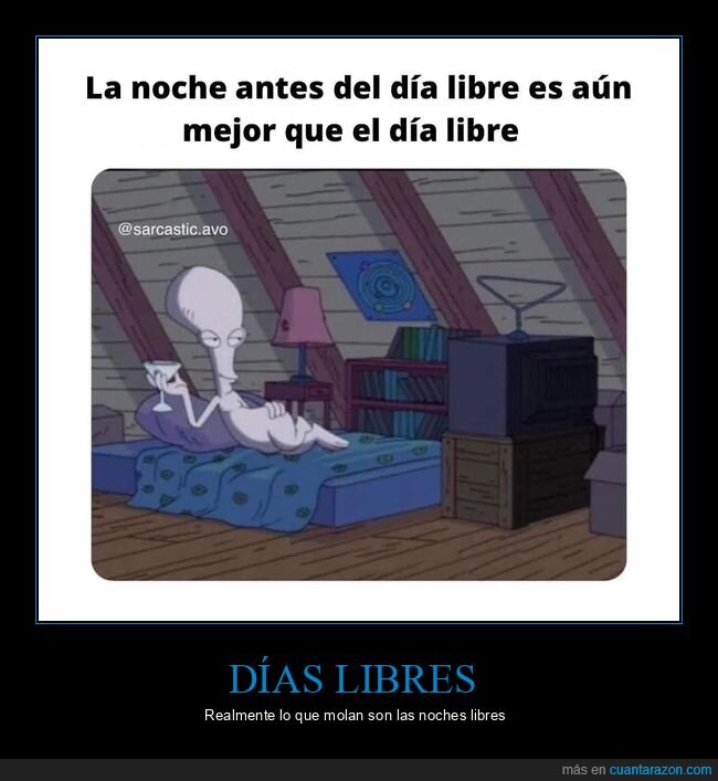 libre,noche,dia libre