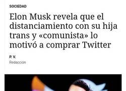Enlace a Musk, eres poco listo