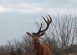 Enlace a Aún puedes salvar la relación