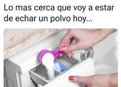 Enlace a Cada semana echo unos cuantos polvos