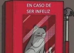 Enlace a Doy fe que funciona