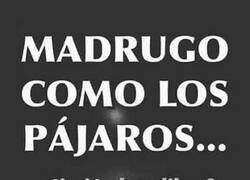 Enlace a ¡Buenos días!