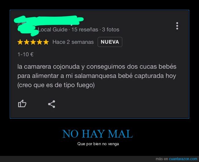 cucarachas,bichos,reseña,restaurante,comida,salamanquesa