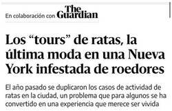 Enlace a No hay mal que por bien no venga