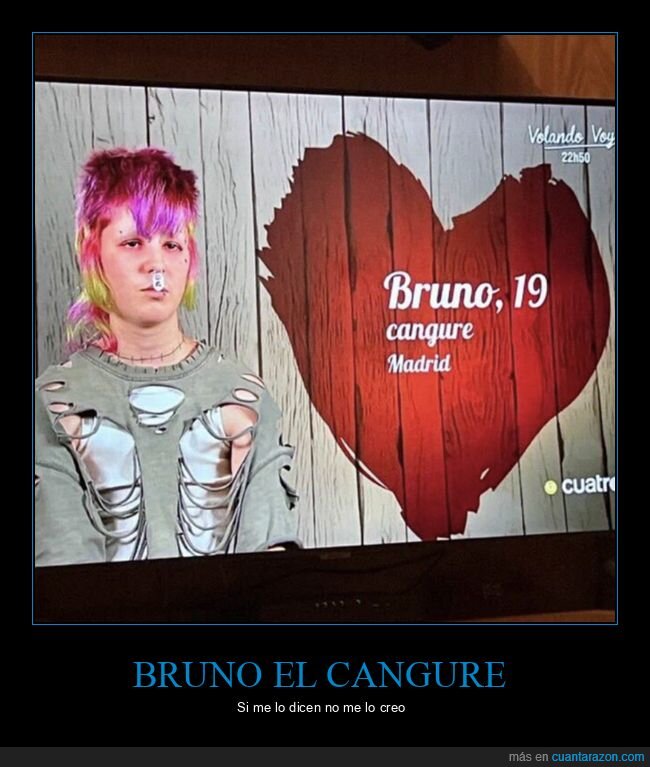 cangure,bruno